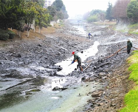 大雨之后锦江边露出一大片淤泥滩 成都河道管理处：将择日清淤 - 封面新闻