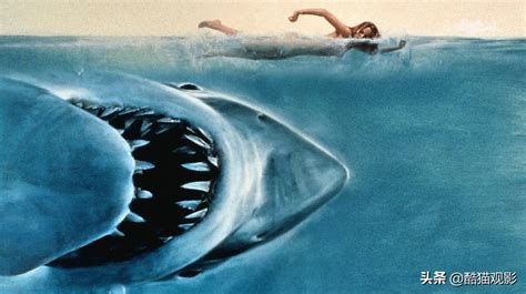 十大恐怖片鲨鱼(10部高分鲨鱼电影，场面很吓人)-风水人