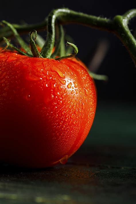 果园种植的西红柿树高清摄影大图-千库网