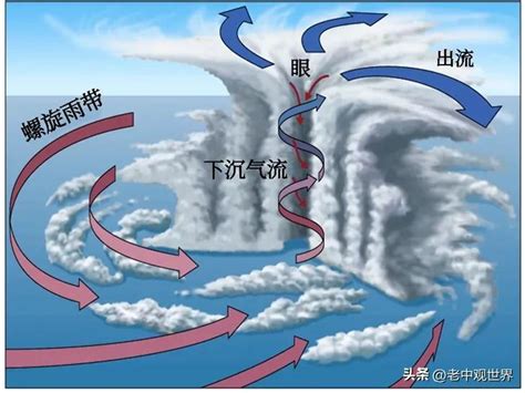 【科普】地球物理——台风如何形成——天才AI