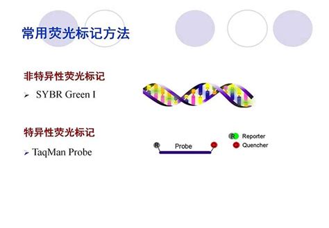 带你了解荧光定量PCR、数字PCR的技术与光学原理解决方案_福州创安光电科技有限公司