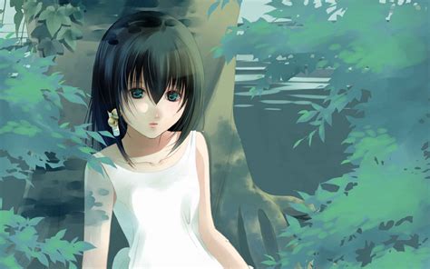 风鸟院花月图片