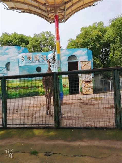 2022武汉动物园游玩攻略,这个动物园的一大特色就是景...【去哪儿攻略】