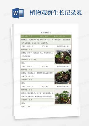 植物观察日记表格Word模板下载_编号qmmjmznp_熊猫办公
