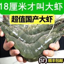 【大青虾】_大青虾品牌/图片/价格_大青虾批发_阿里巴巴