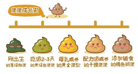 正常糊状大便图片