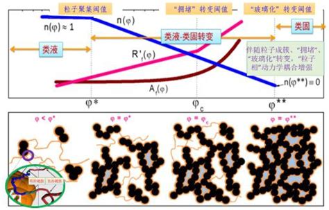 北京理工大学材料物理实验报告 稀溶液粘度法测定聚合物的分子量_文档之家