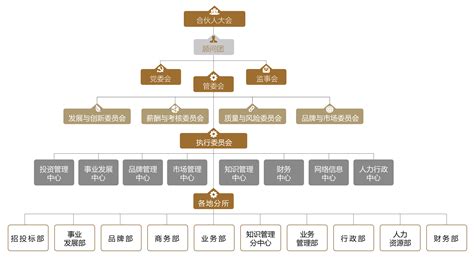 组织架构 - 北京市道可特律师事务所丨律师丨律师事务所-道可特DOCVIT