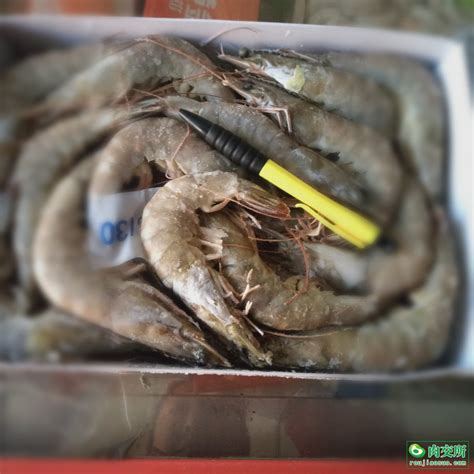 海虾大虾20-30虾-海虾大虾20-30虾批发商、制造商 -阿里巴巴