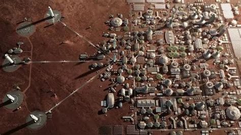 曾经让地球焕发生机的它们，未来能在火星拓荒吗？_手机新浪网