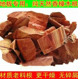 香樟木的主要特征及用途【木材圈】 - 木材文化 - 木材圈