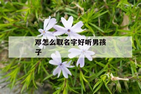 第一届世界花卉摄影大赛评选揭晓-精彩作品欣赏