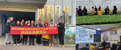 贵州省植物资源保护与创新利用科技志愿服务队在遵义农业企业开展嫁接技术应用调研及科技服务