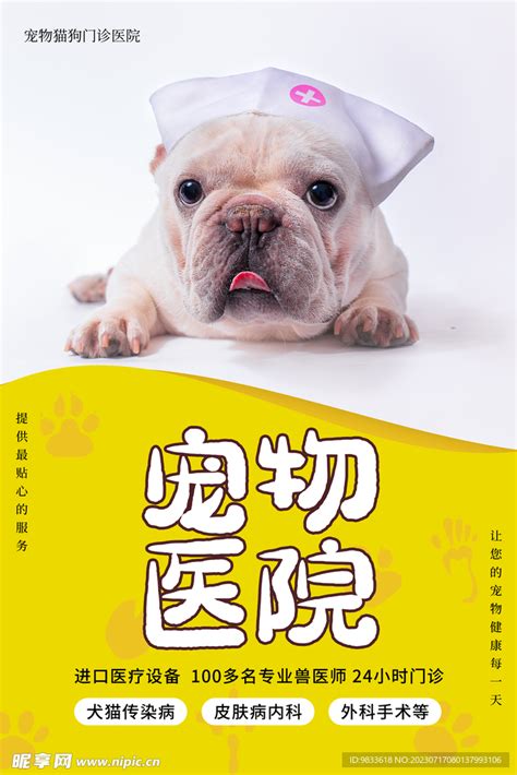 宠物医院海报设计图__PSD分层素材_PSD分层素材_设计图库_昵图网nipic.com