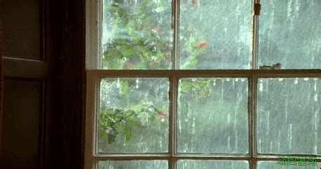 下着雨的窗外风景~~看这组图能让心情很沉静啊~~适合睡觉哈哈！|心情|风景_新浪新闻