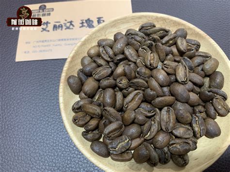 瑰夏咖啡的味道特点 巴拿马艾力达瑰夏咖啡豆风味口感简介 中国咖啡网