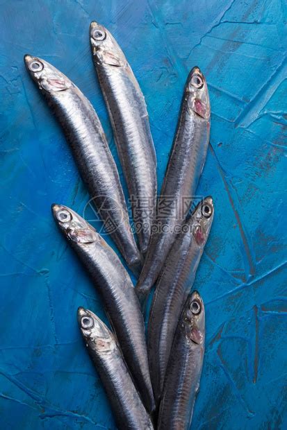一组凤尾鱼漂浮在蓝色背景垂直相片上捕获于爱奥尼亚海的鱼意大利高清图片下载-正版图片505834588-摄图网
