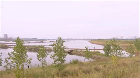 武湖“长大”万余亩！黄陂退垸还湖修复生态打造水美岸清优质营商环境