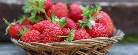 草莓英语单词怎么读 草莓英语单词简单介绍_知秀网