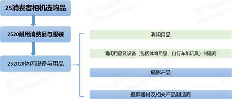 2018年我国玩具租赁行业市场格局现状、发展弊端及方向分析（图） - 中国报告网