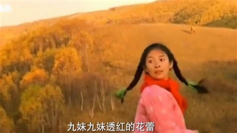 黄鹤翔演唱《九妹》，曾经流行的经典老歌，非常好听_腾讯视频