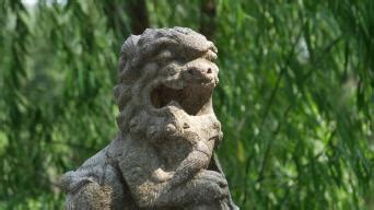 石狮雕塑视频素材下载_红动中国