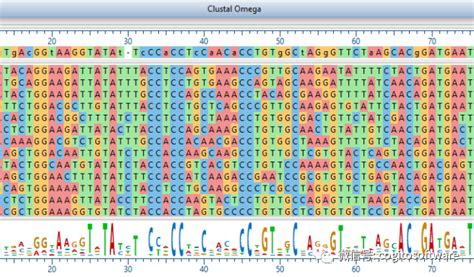 基因组数据可视化。Dna基因组序列医学基因图谱谱系条码矢量背景插画图片素材_ID:397759538-Veer图库