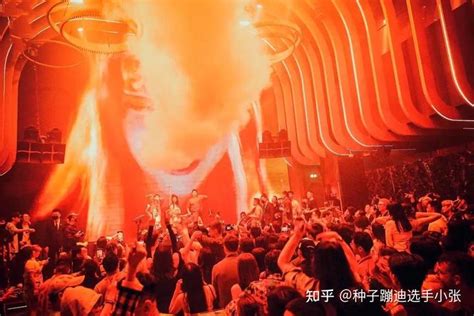 预言帝：2022年中国最火的夜店，就在这篇里面-数艺网