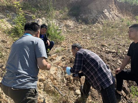 从无到有 黑龙江省稀有金属勘探取得重大突破-黑龙江省第一地质勘查院