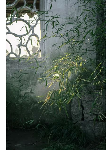 苏州园林| 竹摇清影罩幽窗
