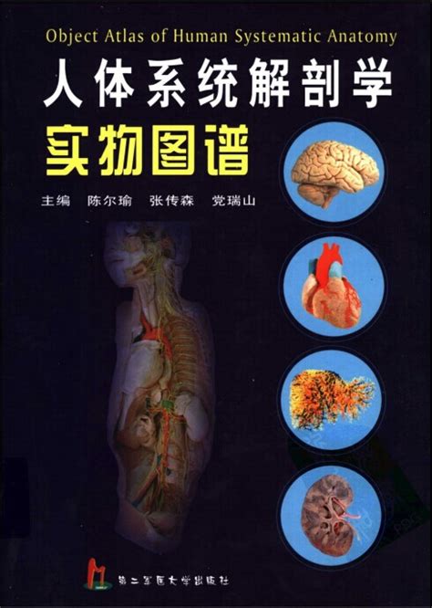 人体解剖学图谱图片