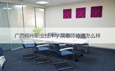 柳州城市职业学院教务处官方网站：http://jwc.lzzy.edu.cn/_新高考网