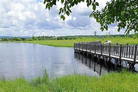 2023伊春新青国家湿地公园旅游攻略 - 门票 - 交通 - 天气_旅泊网