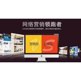 拉萨营销型网站建设|网站建设|西藏天泽网络_其他商务服务_第一枪