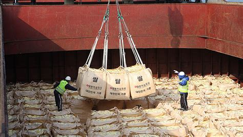时隔九年韩国再向朝鲜提供粮食援助，5万吨大米由世粮署移交|界面新闻 · 天下