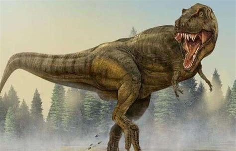 史上最大的恐龙是什么：地震龙(体长在32到36米之间)_奇趣解密网