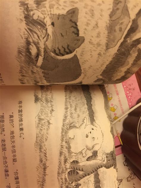 笑猫日记全套28册杨红樱最新版大象的远方戴口罩的猫转动时光的伞属猫的人小猫出生在秘密山洞又见小可怜第第一季第二季第三季_虎窝淘