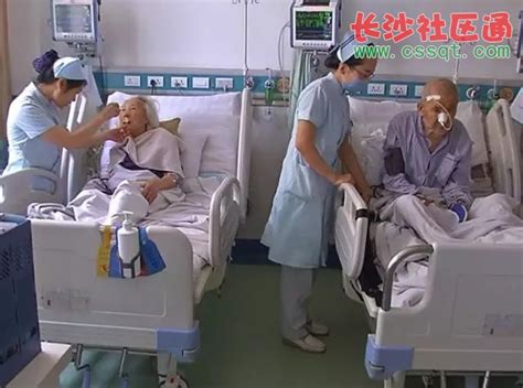 6年4次住院！杭州一女子常年吃素养生，这次竟抽出“牛奶血”