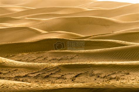 沙漠中的沙子高清图片下载-正版图片600405945-摄图网
