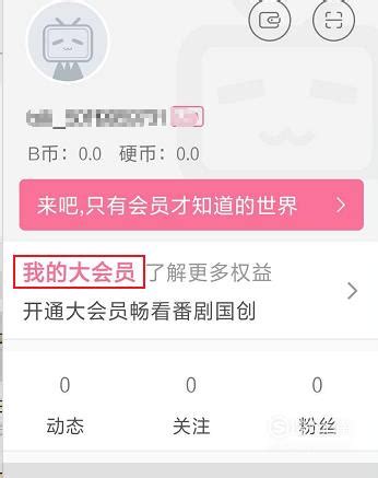 哔哩哔哩B站大会员激活码怎么用在哪开通大会员_搜狗指南