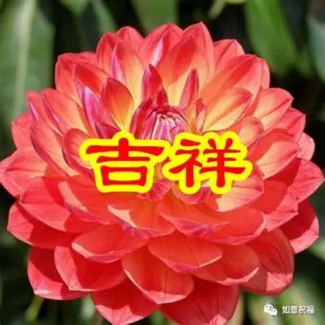 非主流吉祥图片大全头像