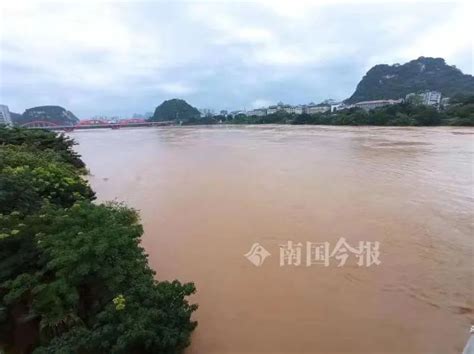 最新预测！今年汛期柳州市区或将出现超警洪水，最高水位在……
