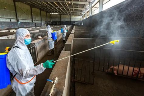 养殖场喷雾除臭消毒系统的功能特点是什么-广州华都伟创环保