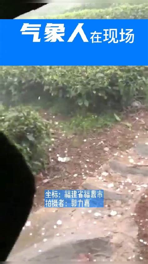 台风白鹿带来暴雨消防营救被困群众_老友记TV-梨视频官网-Pear Video