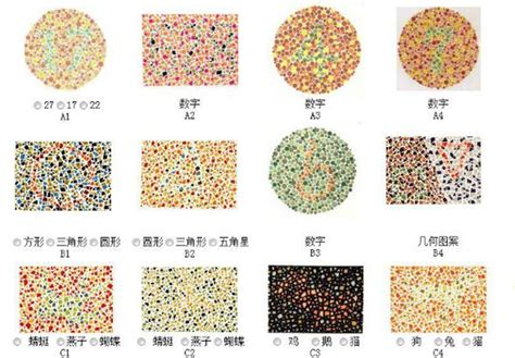 色盲色弱体检用检测图谱第一二版图 - 知乎