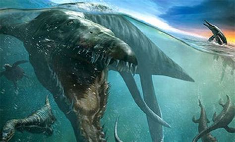 格陵兰岛发现史前“海怪”化石长有11双腿 距今约5亿多年 - 海洋财富网