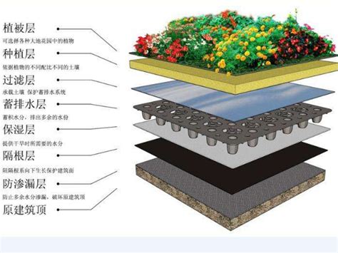 Bragrgyab 的图像结果
