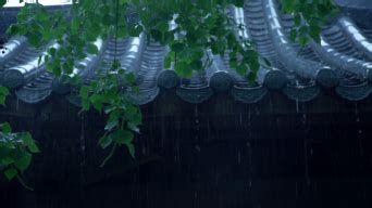 下雨天、黄雨伞，还有好看的男女主角～|男女主角|韩剧_新浪新闻