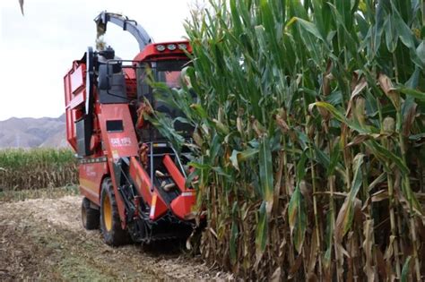 白银市领导在靖远调研春耕生产工作时强调 推广新型农业机械 提升农机装备水平