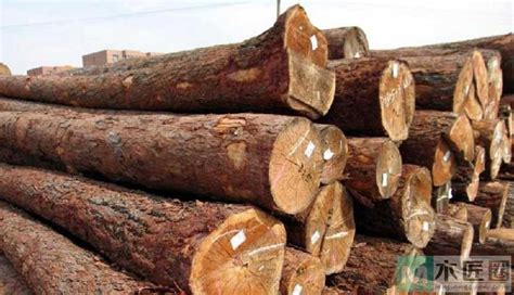 新砍伐的木材怎样处理能防止开裂或变形？-木匠圈网